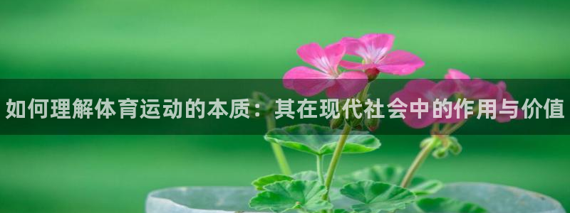 JJB竞技宝官网下载招商电话号码:如何理解体育运动的本质:其