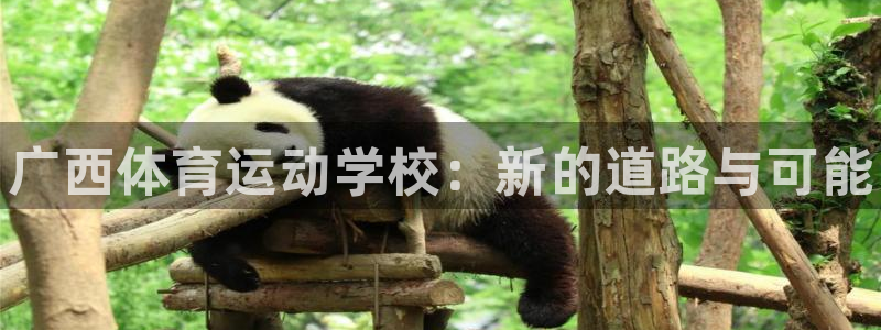 JJB竞技宝官网下载联系电话:广西体育运动学校:新的道路与可