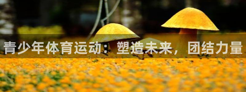 JJB竞技宝官网下载招商电话地址查询:青少年体育运动:塑造未